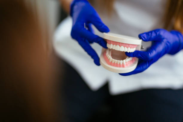 Best Preventive Dentistry  in Palm Springs, FL
